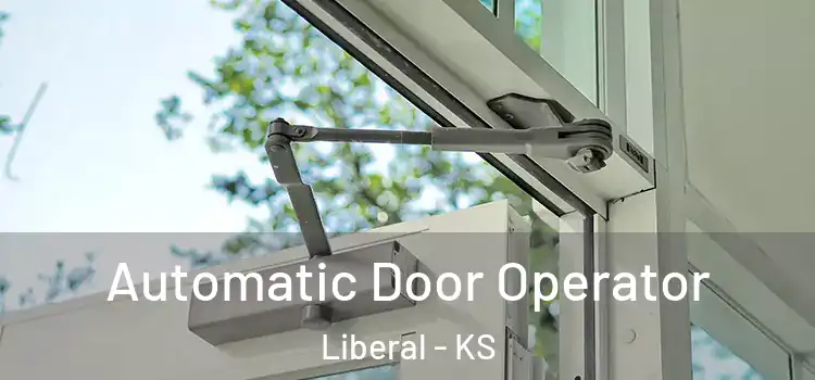 Automatic Door Operator Liberal - KS