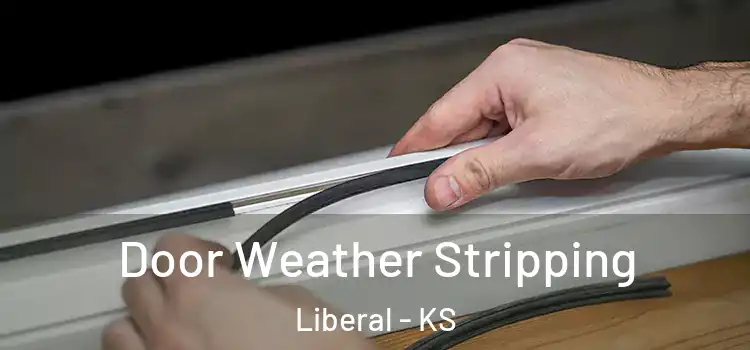 Door Weather Stripping Liberal - KS