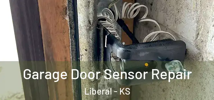 Garage Door Sensor Repair Liberal - KS
