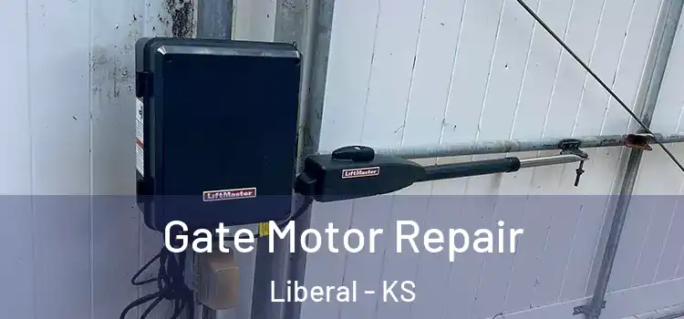 Gate Motor Repair Liberal - KS